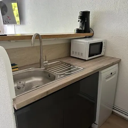 Duplex Meuble Avec Terrasse Dans Avec Piscine 公寓 阿格德
