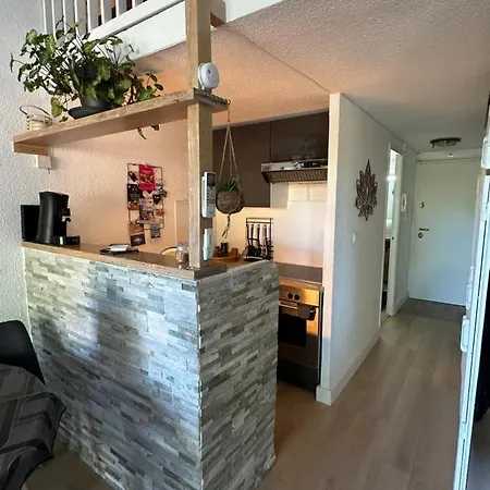 Duplex Meuble Avec Terrasse Dans Avec Piscine 公寓