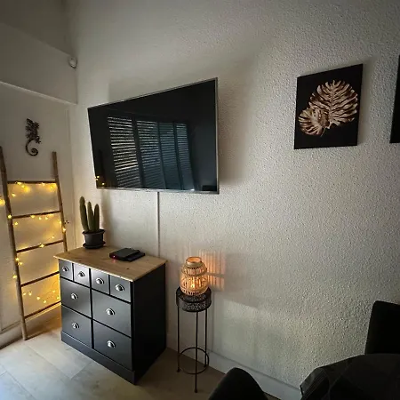 Duplex Meuble Avec Terrasse Dans Avec Piscine 阿格德