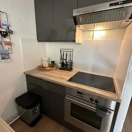 Duplex Meuble Avec Terrasse Dans Avec Piscine 公寓