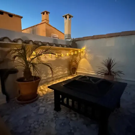 公寓 Duplex Meuble Avec Terrasse Dans Avec Piscine *